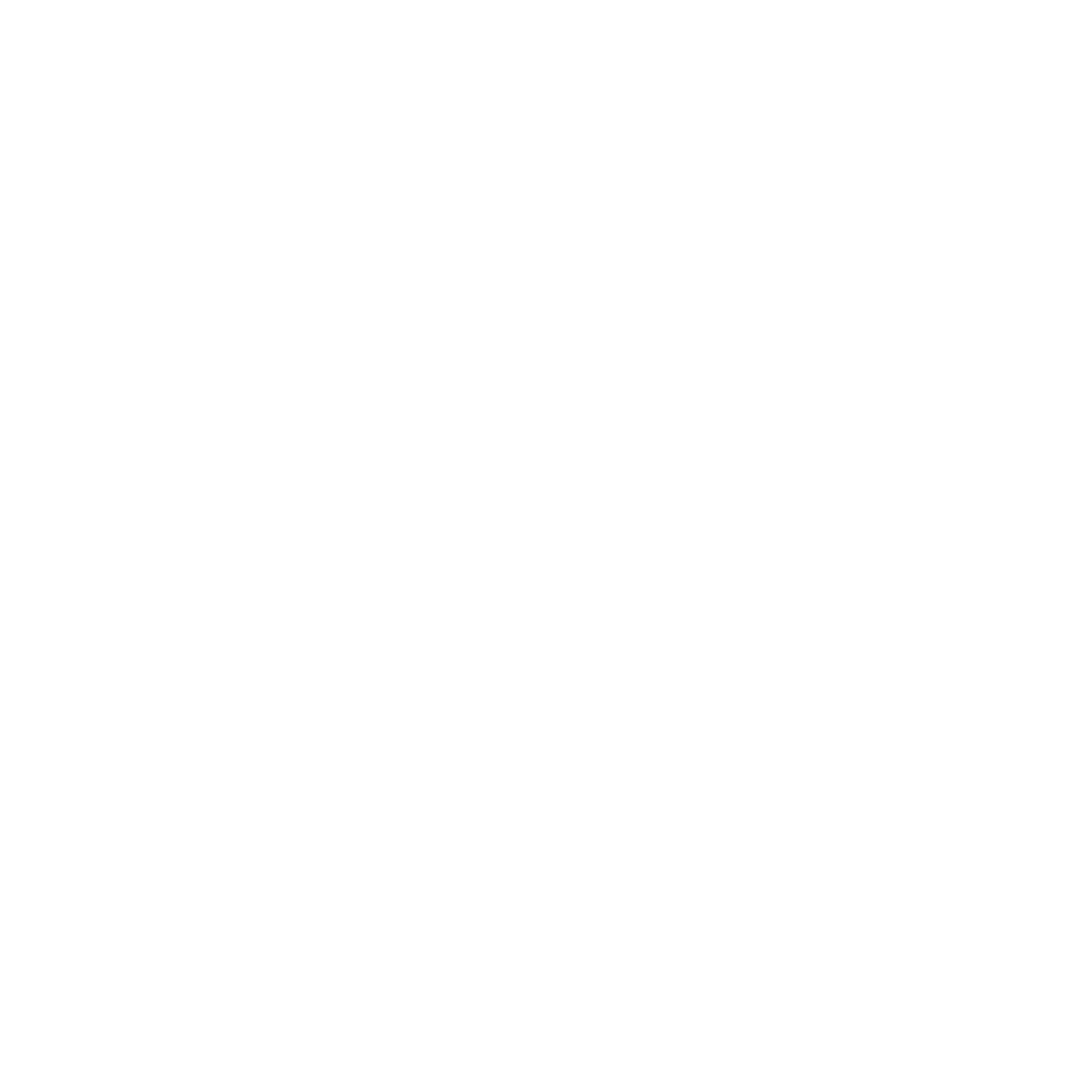 Logo blanc Big Mama Surfschool Lacanau
