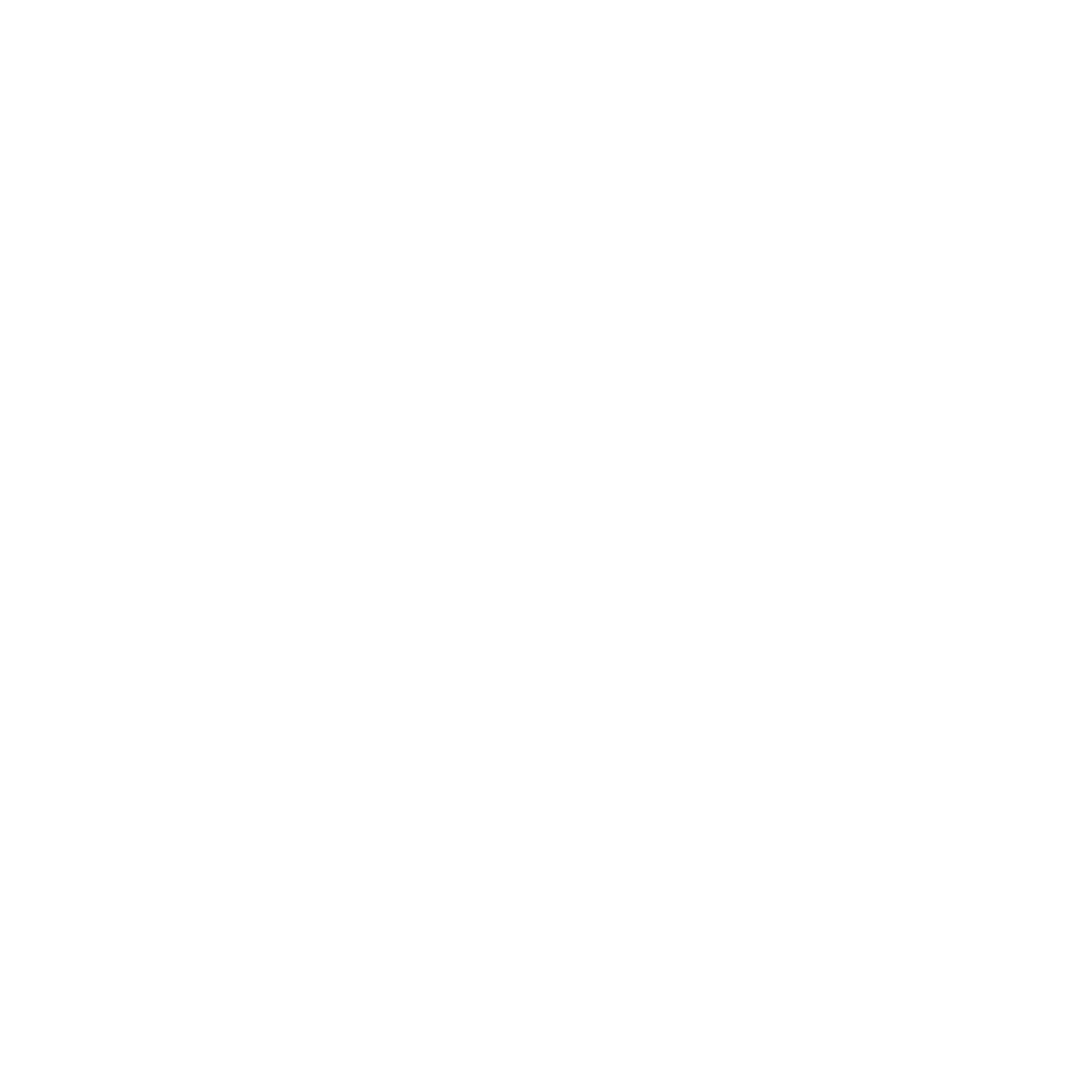 Logo Big Mama Surf School en blanc